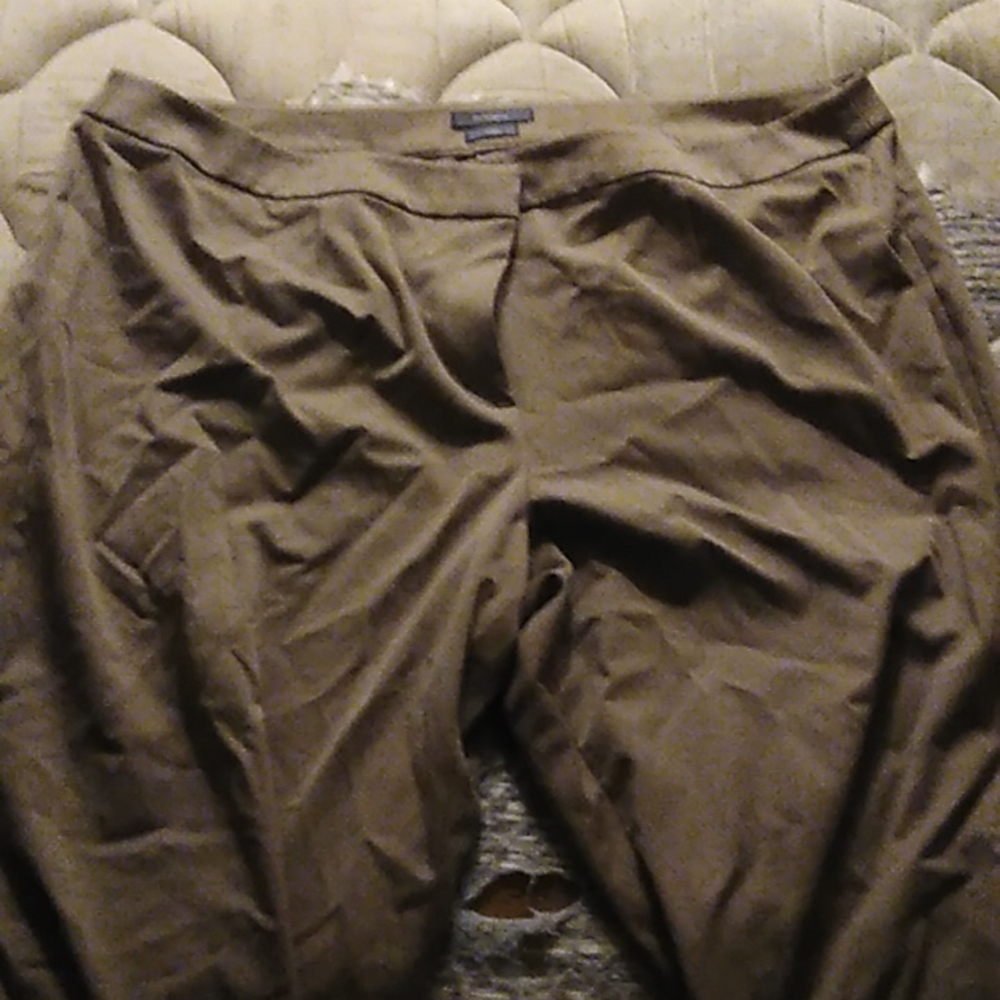 Khaki pants